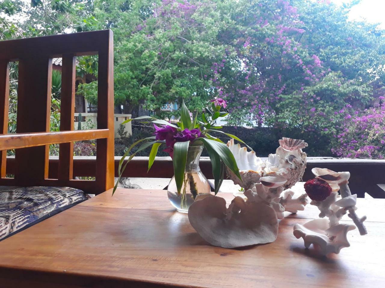 Bara Beach Bungalows بيرا المظهر الخارجي الصورة